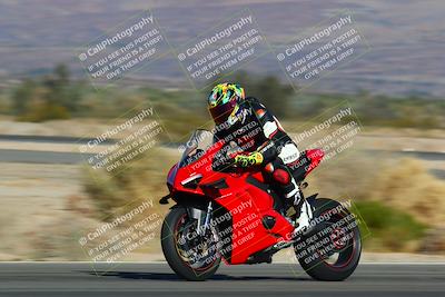 media/Jan-13-2024-SoCal Trackdays (Sat) [[9c032fe5aa]]/Turn 14 (10am)/